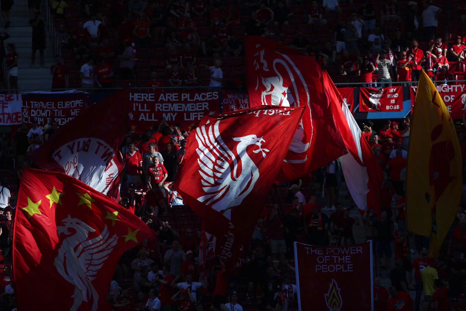 队记：开拓者回波兰特有三个训练日，杨瀚森大概率前往混音队